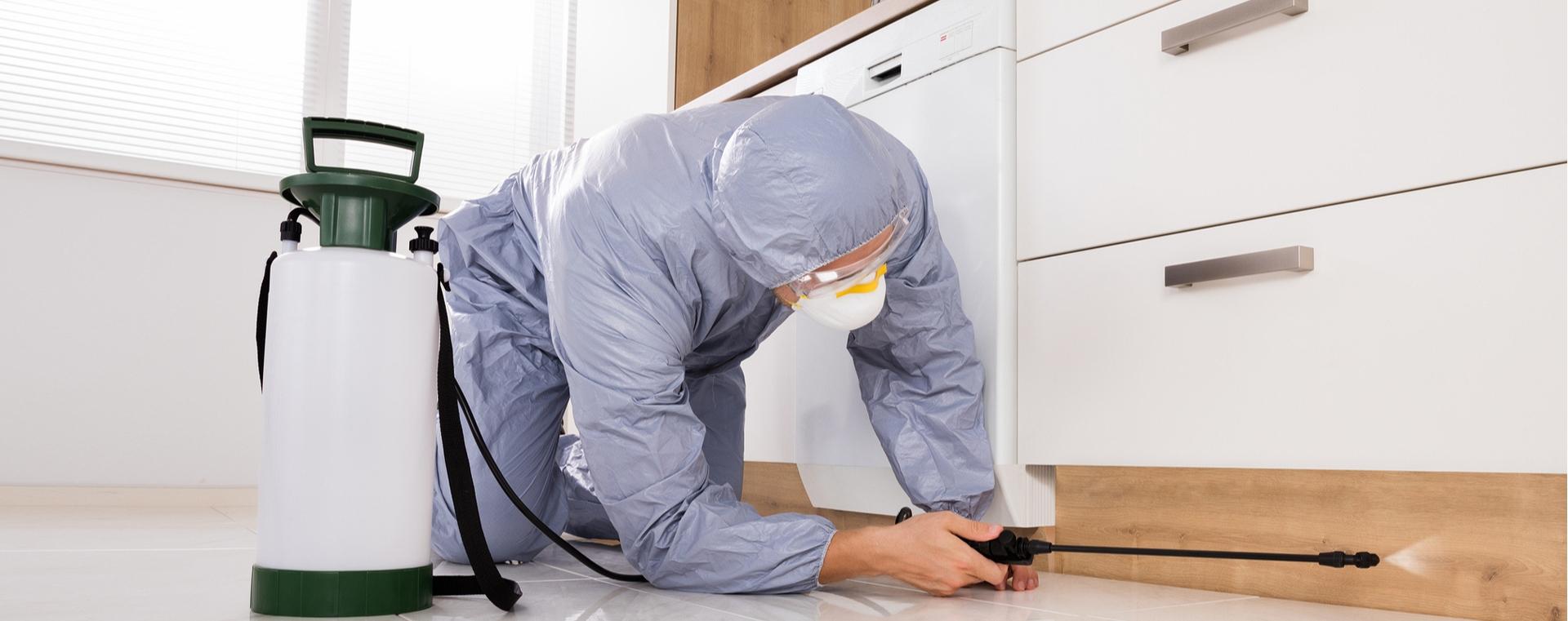 Deratyzator - Slajd #2